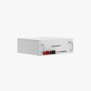 Batteria LuxPower LI-5 Lifepo4 5.12Kw - immagine 2